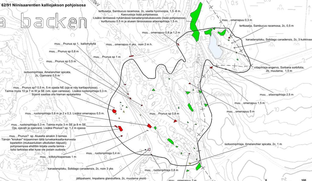 3.8. Niinisaarentien kalliojakson