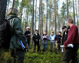 Luonnonvara-ala Metsätalousinsinööri (AMK) Rovaniemi 240 op 4 vuotta Päivä- ja monimuotokoulutus Metsätalousinsinööri on metsäluonnon monipuolisen käytön, hoidon ja suojelun asiantuntija.