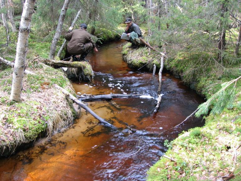 KRS-sektorin toimilla ei yksinään päästä pitkälle -Maatalouden, metsätalouden ja muun hajakuormituksen