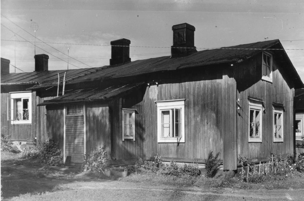 Kasvilajiston viimeaiaiset muutoset Seinustalla viljeltiin oriste- ja hyötyasveja. Sisäänäynnin edusta oli vaatimattomassa talossa ivetty muulaivin.