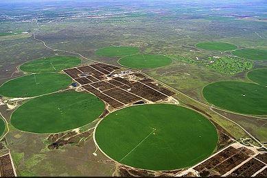 Paxa, Brasilia