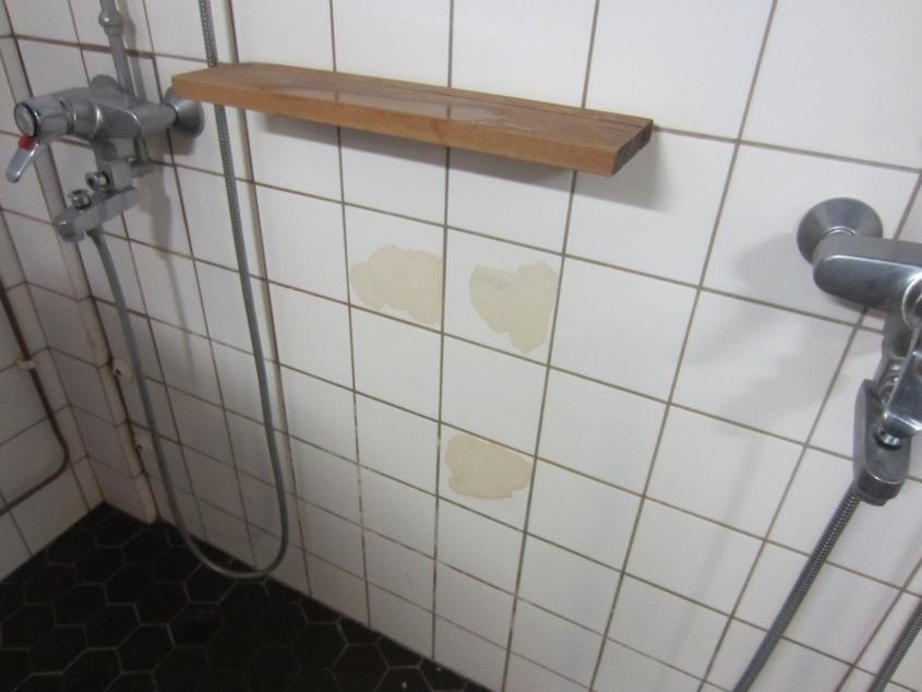 Kuva 8: Märkätilojen pintarakenteissa