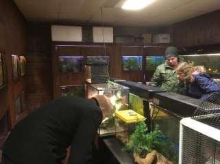 Kalaralli Tallinnaan Zookauplus Akvarium OÜ Matelijapuoli oli laaja ja hyvä. Terveitä ja hyväkuntoisia otuksia.