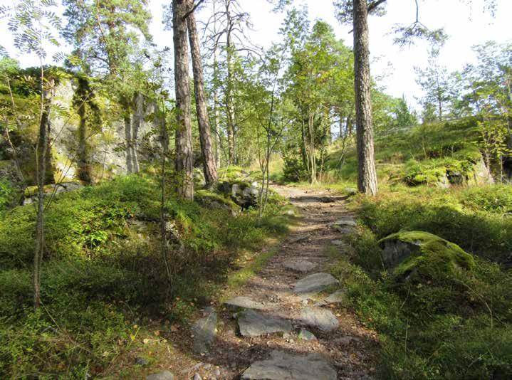 2.5 Tiet ulkoilureitit ja polut Alueen nykyinen pääyhteys, Uutelantie on merkitty Uutelan asemakaavassa kevyen liikenteen reitiksi.