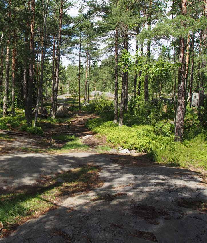 4.3 HOITO- JA KEHITTÄMISTOIMENPITEET ALUEITTAIN 4.3.1 ALUE 1 Nykytila: Aikanaan Nordsjön kartanon miljööseen liittynyt avoin ja puoliavoin niittyalue, jonka pohjoisreunassa kulkee Vuotien suuntainen kevyen liikenteen pääreitti.