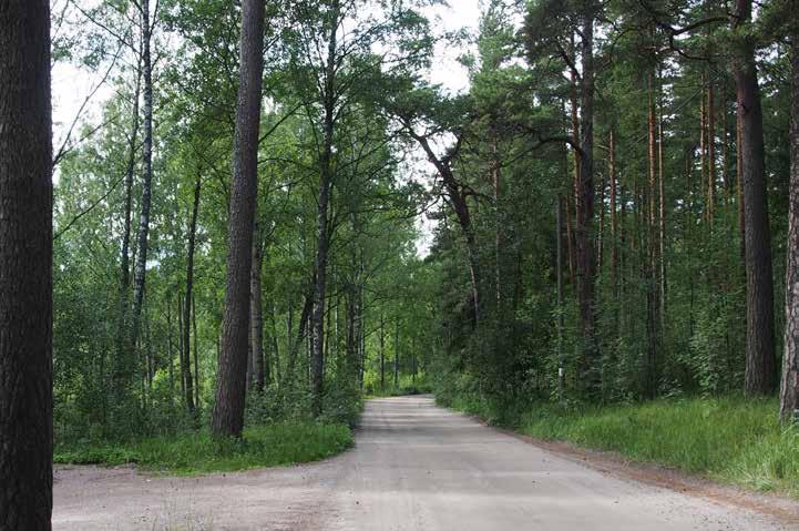 4.3.3 ALUE 3 Nykytila: Vuosaarenlahteen ja Särkkäniemen luonnonsuojelualueeseen rajautuva metsäinen rantavyöhyke Uutelan koillisosassa. Alueen maasto on loivapiirteistä ja alavaa moreenimaata.