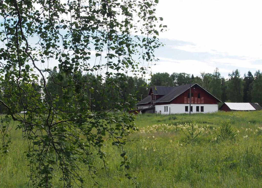 5 LISÄSELVITYSTARPEET Työn aikana on noussut esiin seuraavia lisäselvitys- ja jatkosuunnittelutarpeita: Suojeluohjelmassa olevasta Rudträskin ympäristöstä tulee tehdä luontoselvitys, jonka pohjalta