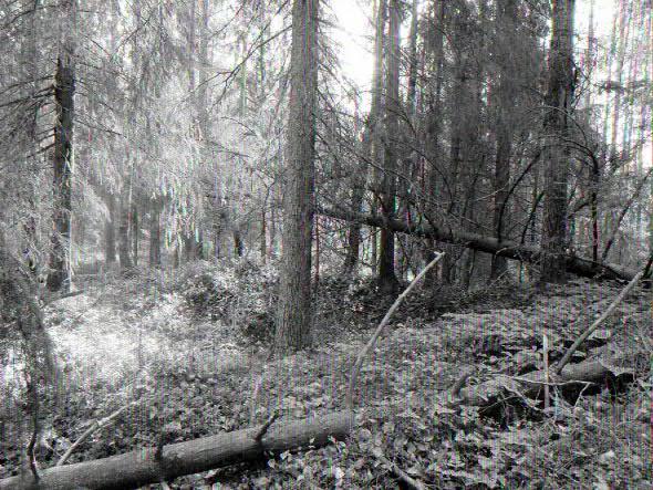 rakennuksen vallia