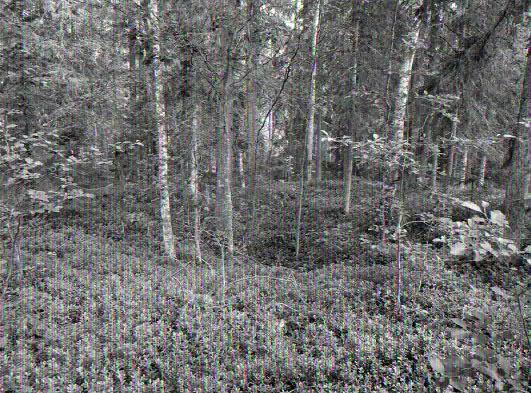 kuvassa selvästi
