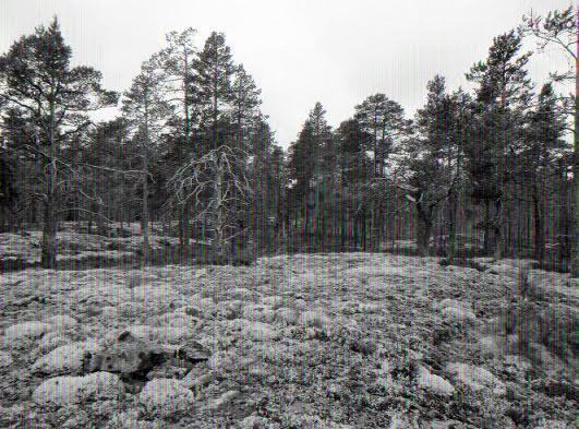 Rauhoitusluokkaehdotus: - Paikkatiedot: Karttalehti Q4242R vanha yleislehtijako, 243205 Koordinaatit: P 7140063 I 369022 Inventointimenetelmät: pintahavainnointi