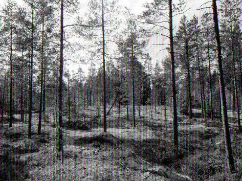 Kuva itään.