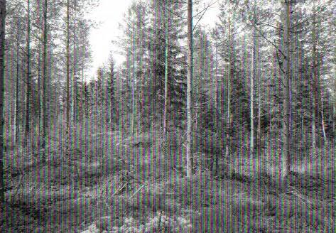 40 37 16 Voimalapaikka Karhunnevankankaan
