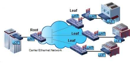 Palvelutyypit: E-Tree Point-to-multipoint verkko Useita lehtiä (leaf) kytkettynä yhteen juureen