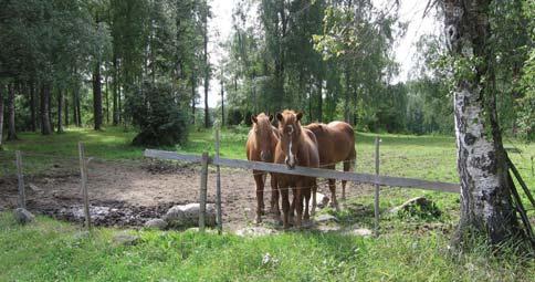 Maakuntakaavassa Sorilanjoen pohjoispuolelle merkitty viheryhteys voi kaavamääräyksen mukaisesti olla virkistyksellinen ja/tai ekologinen yhteys.