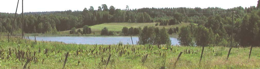 Kuva 14. Näsijärven säännöstely. (http://www.tampere.fi /ekstrat/sahkolaitos/sl_toimkertomus2005/21.html) melko suora uoma, jonka yläjuoksulla lampimaiset laajentumat muodostavat u-käännöksen.