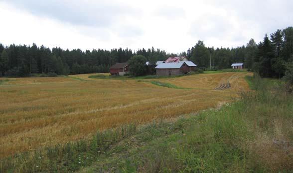 Vuoden 1961 veroluokituskarttojen (liite 4b) sekä maastokäyntien perusteella voidaan todeta, että alueen kasvupaikkatyyppi vaihtelee jäkäliköistä reheviin lehtoihin, vaikkakin lehtojen osuus on pieni