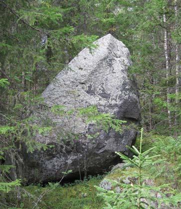 54. Kohdekuvaus: Siirtolohkare. Metsä kohteen ympäriltä kaadettiin vuonna 2006. Kenttäkerroksen lajistoa: Kallioimarre, käenkaali, maitohorsma, vanamo, puolukka, oravanmarja.