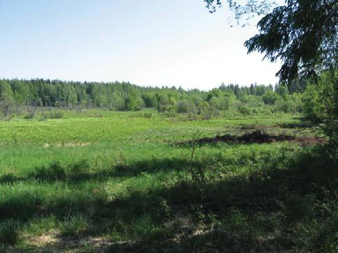 Muut huomioidut kohteet Tässä esitellyt kohteet (liite 6) ovat kohteita, jotka eivät ole luonnonsuojelulain eikä metsälain huomioimien kohteiden listalla eikä siinä mielessä luokiteltavissa