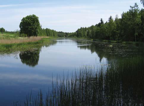 Kenttäkerroksen lajistoa: Tupasvilla, suopursu, juolukka, puolukka, isokarpalo, pikkukarpalo (Vaccinium microcarpum), suokukka, mustikka, suomuurain (Rubus chamaemorus) ja pyöreälehtikihokki.