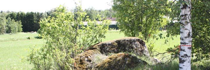 merkiksi, etelästä. 18.6.009. DG 666:137.