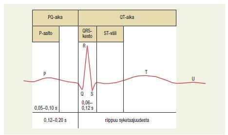 21 Kuva 6. Normaali EKG (Mäkijärvi ym. 2008, 42). Sydänsähkökäyrä on keskeinen tutkimusmenetelmä tutkittaessa sepelvaltimotaudin astetta ja etenemistä.