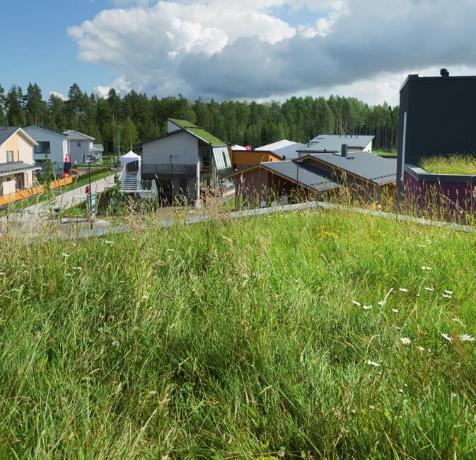 8.2.1 Viherkatot Viherkatot, eli elävällä kasvillisuudella peitetyt rakennusten katot yleistyvät maailmalla.