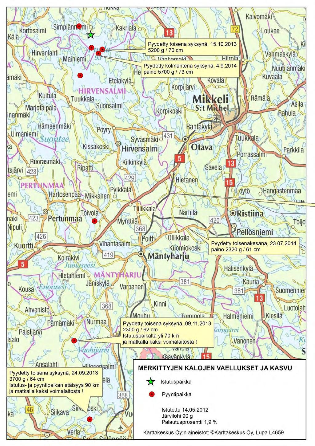 Merkintätutkimuksen tuloksia 2 vuotiaat järvitaimenet ja lohet kasvavat hyvin ja vaeltavat hyvin!