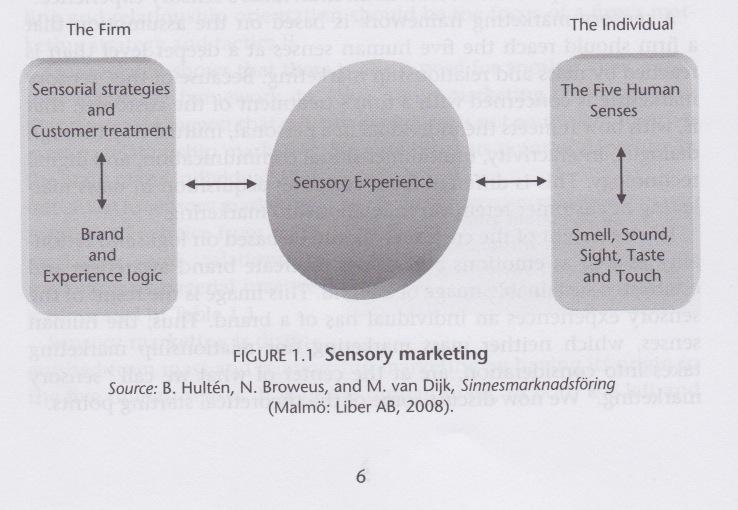 18 aistiin, on markkinoinnissa keskitytty lähinnä kahteen aistiin: näköön ja kuuloon [3, s. 9 11].