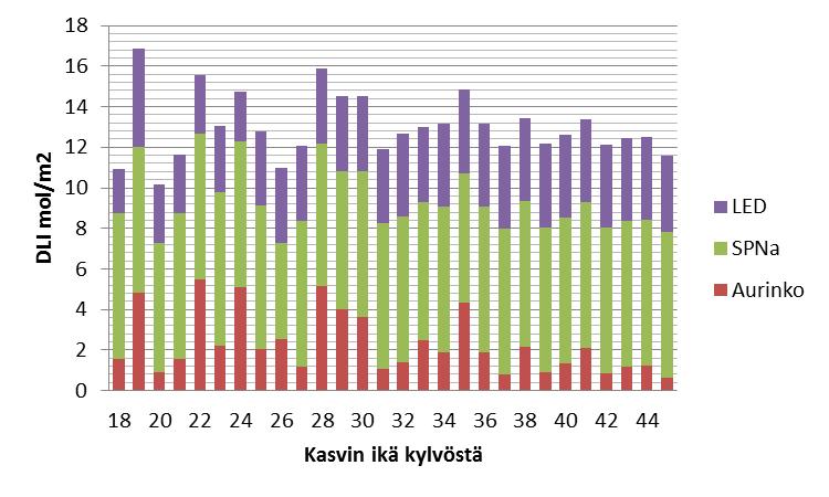 jakautuminen kouruviljelyvaiheen aikana auringon säteilyn ja suurpainenatriumvalotuksen (SPNa) kesken. Kuva 2.