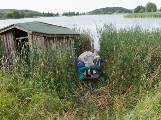 Hanke koostuu kolmesta