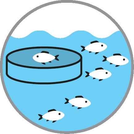 töveroja jäsenmaille. Suomelle suositeltiin mm. lannoiteveroa, kasvinsuojeluaineveroa, vedenottoveroa, vesiveroa sekä maa-ainesveroja.