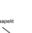 VE0+ + (km) VE1 (km) VE22 (km) Uudet tiet 9,14 30,91 31,76 Parannettavat tiet 4,43 11,28 14,63 Maakaapelit 19,47 56,06 63,97 Uudet tiet suunnitellaan maanomistajien kanssa neuvotellen.