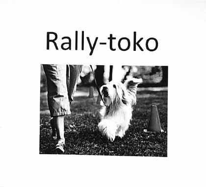 Tämän jälkeen oli pieni tauko, ja ensimmäinen ryhmä pääsi treenaamaan liikkeitä.