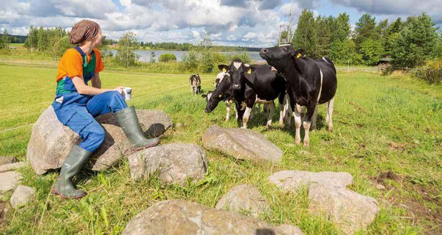 Helppoa ja huoletonta kesää! Faban asiantuntijat ovat apunasi myös kesällä. FabaKUTSU-mobiilisovelluksella kutsut seminologit helposti paikalle.