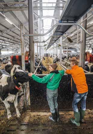 arjen auttaja Lisäarvoa jäsenyydellä Osuuskunnan jäsenyys tuo lisäarvoa karjatilalle, sillä Faban jäsenille maksetaan heinäkuun alusta alkaen asiakasbonusta.