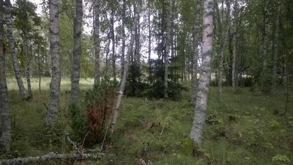 3 (16) Kuva 2 Näkymä Laukansaaresta. 2 SUUNNITTELU JA PÄÄTÖKSENTEKOVAIHEET Kaavaprosessi Ajankohta Aloitusvaiheen viranomaisneuvottelu 9.12.