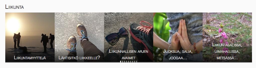 paavat ohjatumpaa tukea muutosten tekemiseen ja ylläpitämiseen. (Kuva 1.