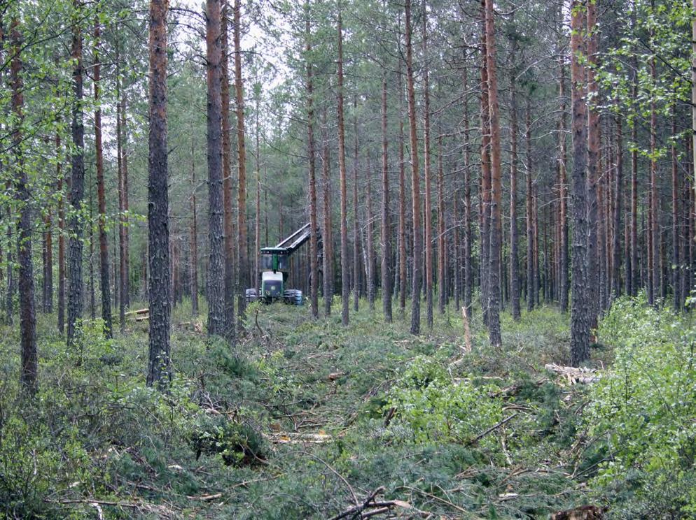 Kausivaihtelua puunkorjuussa on mahdollista vielä vähentää Kalle Kärhä, Tiina Tamminen, Timo Leinonen & Antti Suvinen Stora Enso Metsässä pidämme kausivaihtelun vähentämistä yhtenä tärkeimmistä