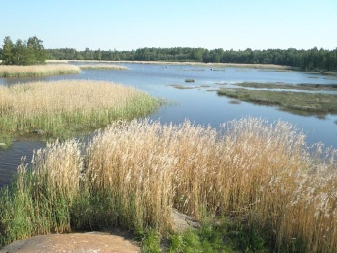 ranta-alueiden uudentyyppistä suunnittelua, jossa yhdistyy luonnonvarojen kestävä