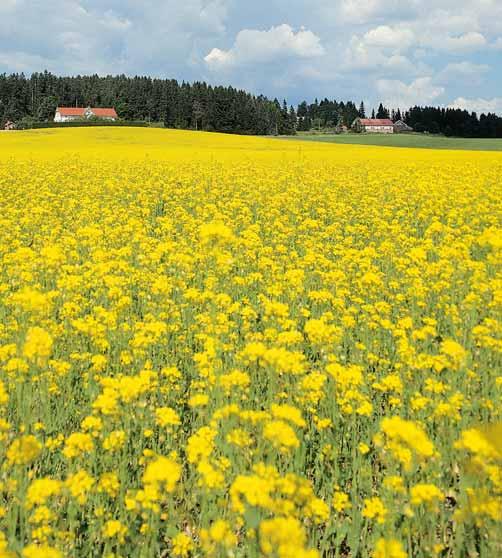 Toimintamallit ovat ympäristökasvatuksen opetuskokonaisuuksia Eco Learn -mallin perustana ovat maatiloilla järjestettävät leirikoulut, joissa lapset saavat tilaisuuden tutustua ruoan reittiin