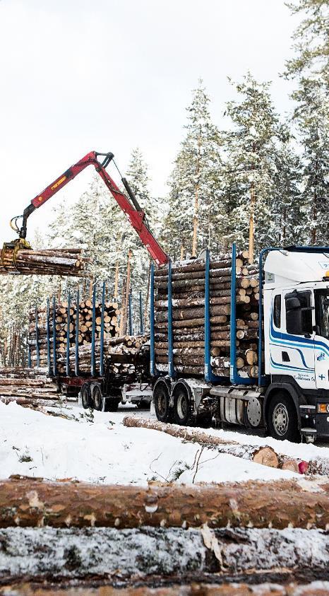 Biotuotetehdas vaikuttaa puunhankintaan koko maassa Käynnistyttyään biotuotetehtaan puunhuolto muuttaa havukuitupuuvirtoja koko maassa Toimitamme puuta Metsä Groupin sellutehtaille,