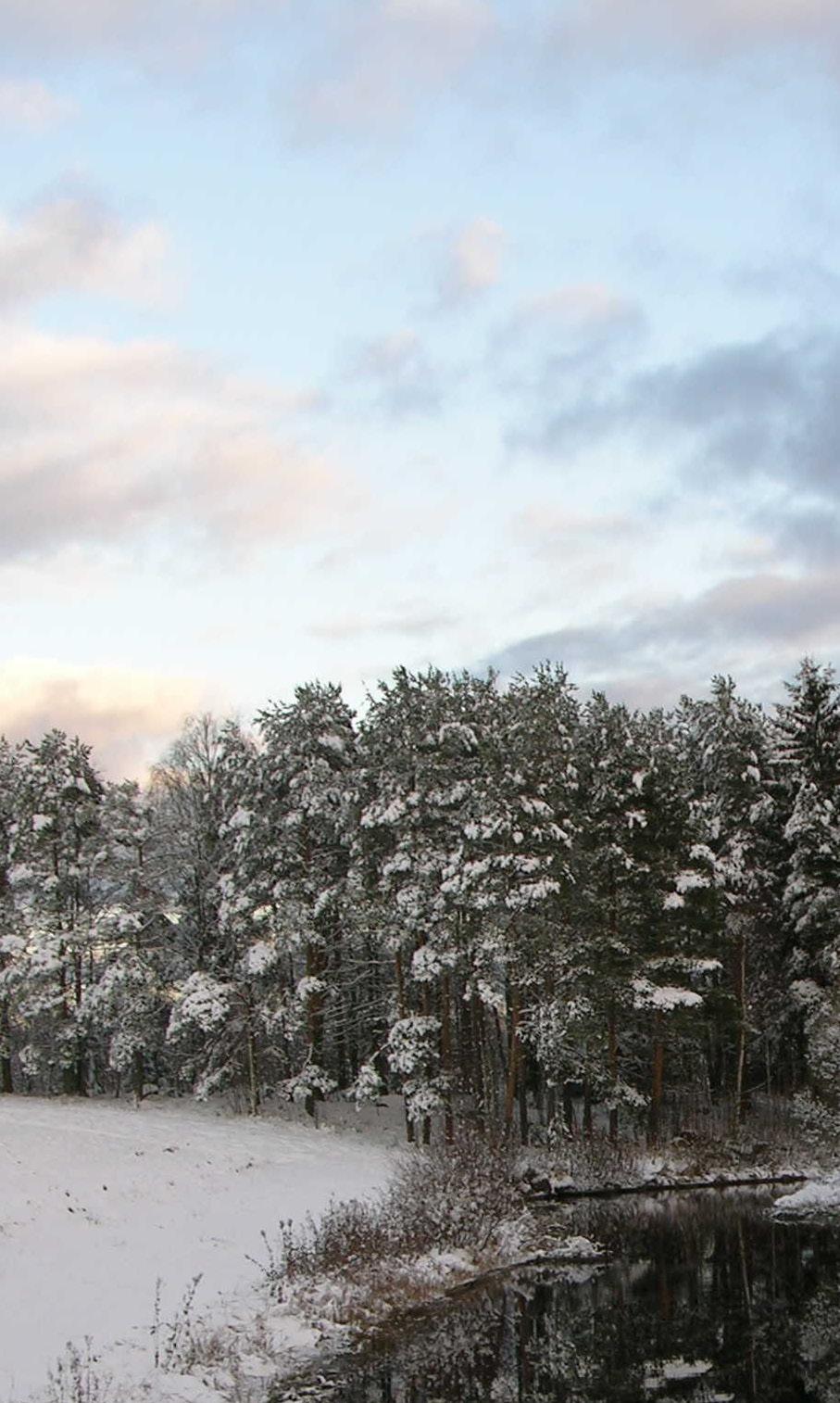 HAAPAJÄRVEN