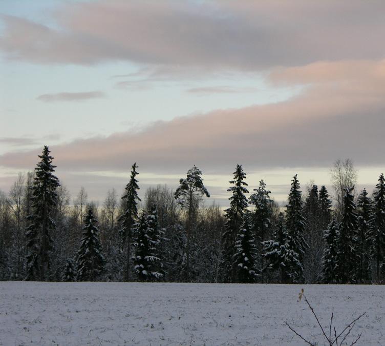 Varisjärvestä