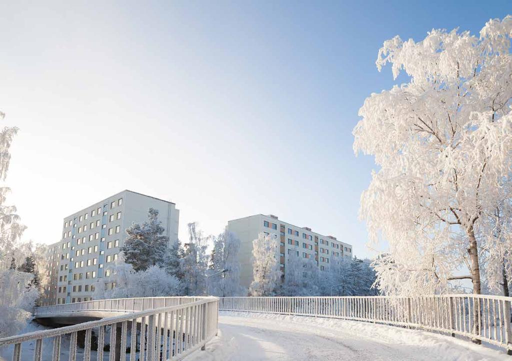 HALLITUKSEN TOIMINTAKERTOMUS Orava Asuntorahasto Oyj (y-tunnus 2382127
