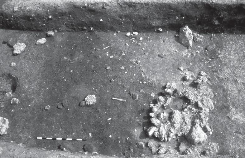 Harmaata stratigrafiassa Kuva 2. Vaaleanharmaita Ficanan kaivausalueen 4a stratigrafiassa. Harrisilaisen stratigrafia-ajattelun jalkauttaminen käytäntöön ei ymmärrettävästi ole sujunut ongelmitta.