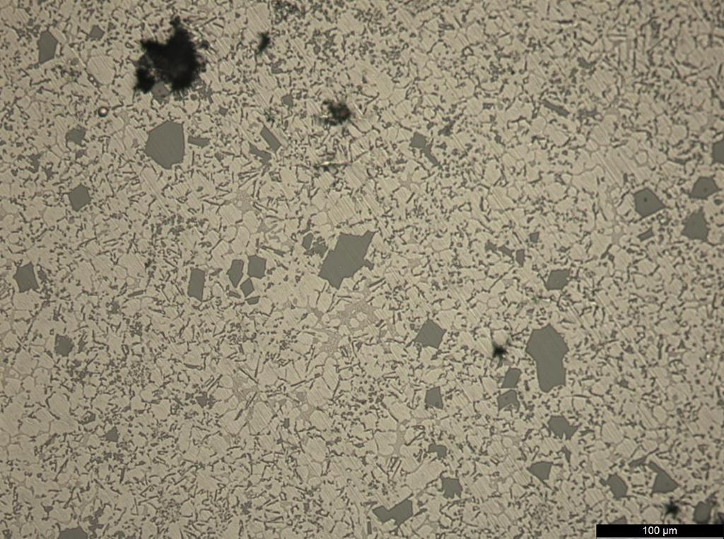 64 Kuva 41. Kaksi 50 µm pituista primaaripiikidettä. Kuvassa 41 voidaan nähdä kolme suurta piikidettä, joista kaksi suurinta ovat hieman yli 50 µm pitkiä.