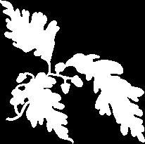 Tässä olemme jälleen eturintamassa, mutta usko on vahva siihen, että alan osaamista tarvitaan ja pärjäämme kilpailutuksessa hyvin. 11/2016 Julkaisija: Kanta-Hämeen Aluetaksi Oy Hämeenlinna Puh.