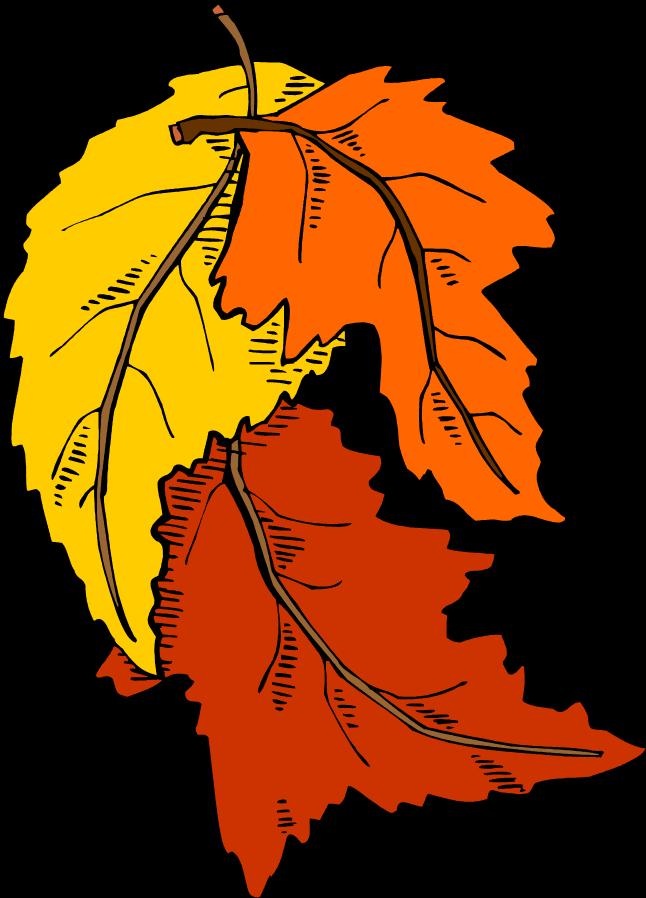 bongattu