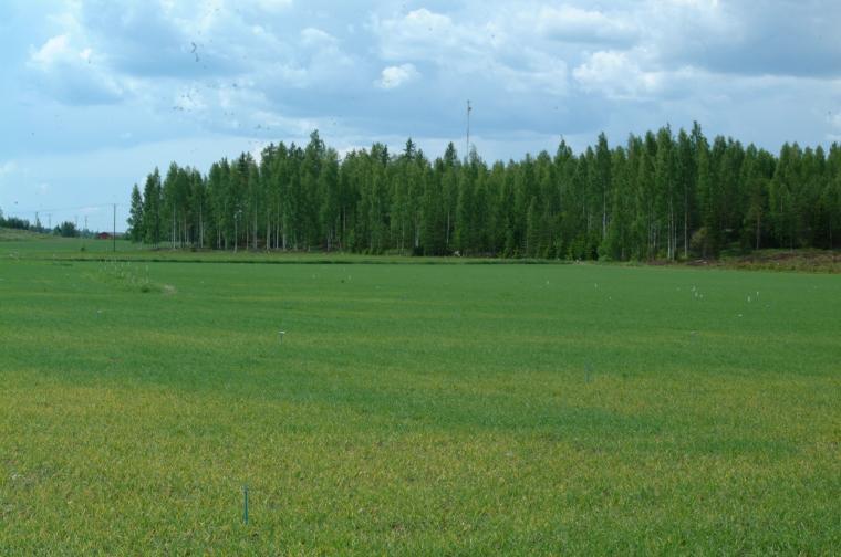 muokkausmenetelmien välillä eroa maan hetkellinen varastointikyky, infiltraatio poudan/märkyyden