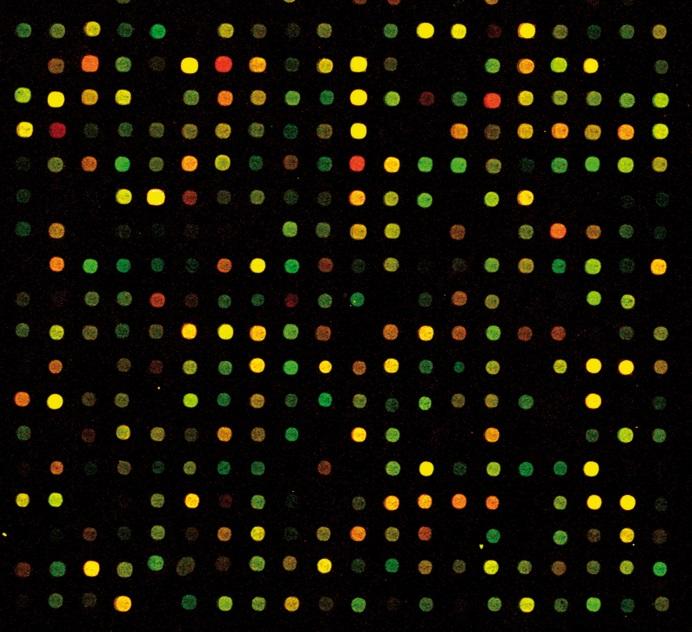Transkriptomi Kaikkien geenien aktiivisuus yhdellä ajanhetkellä yhdessä organismissa tai populaatiossa Tässä tutkielmassa käytetty transkriptomidata oli sarja